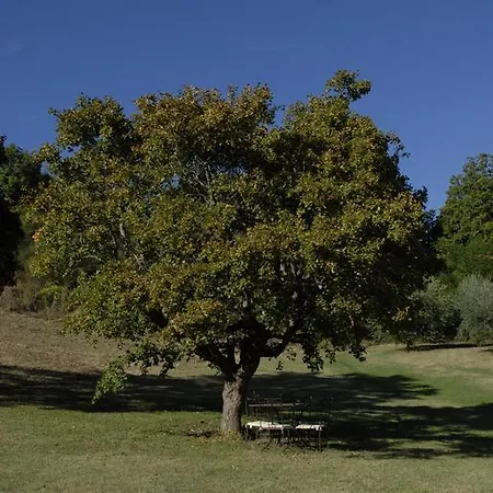 Alloggio per agriturismo Paradiso41