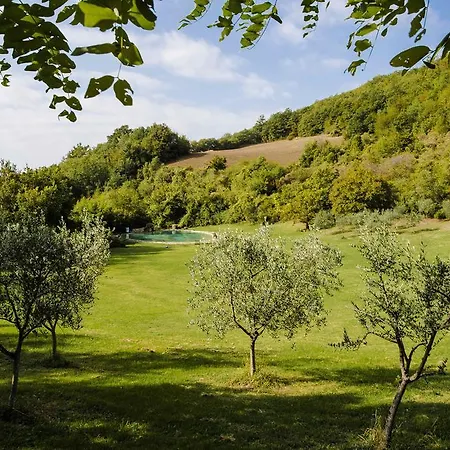 Alloggio per agriturismo Paradiso41